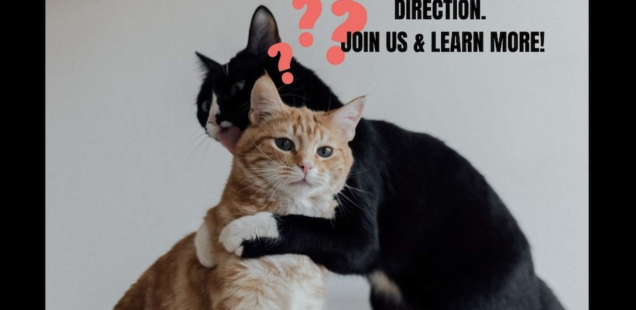 Image of 2 cats wrestling and red question marks above them with the words RED AND GREEN FLAGS ARE SIGNS THAT A RELATIONSHIP CAN BE HEADED IN AN UNHEALTHY OR HEALTHY RELATIONSHIP DIRECTION. JOIN US & LEARN MORE! Date: Dec 8, 202 Time: 2-3pm Place: GRGGED (UC109 at UofG). Register NOW: https://introflags.eventbrite.ca